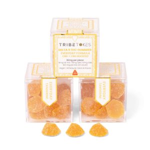 Everyday Delta 9 THC Gummies | CBD + CBG Boosted | Tangerine